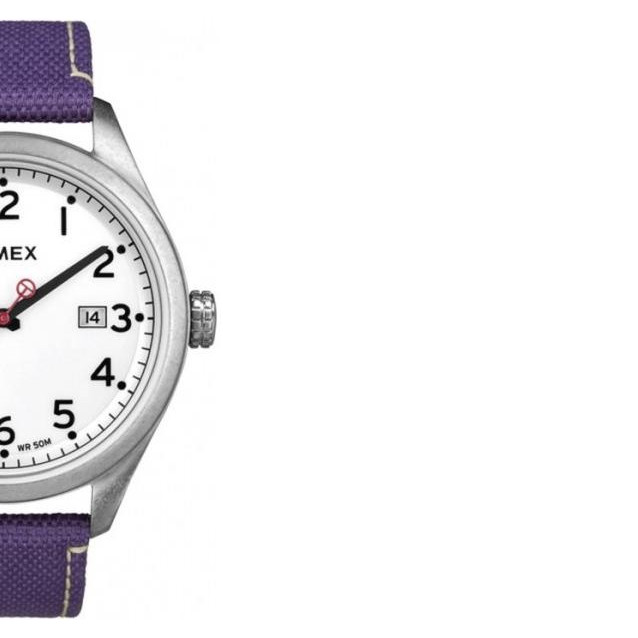 Timex Classic T2N225 6