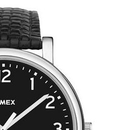 Timex Classic T2N474 5