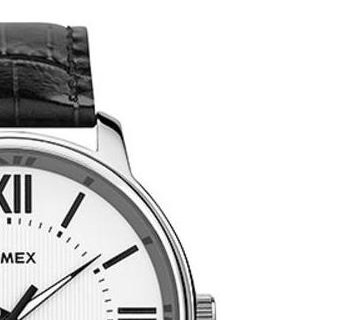 Timex Classic T2N691 5