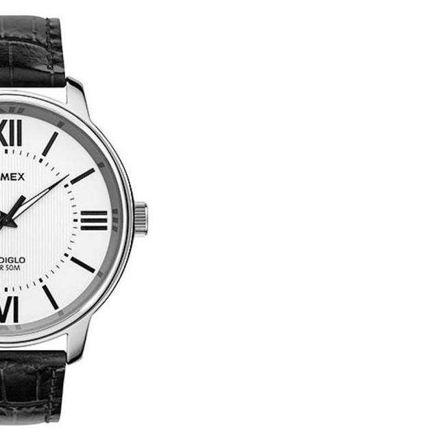 Timex Classic T2N691 6