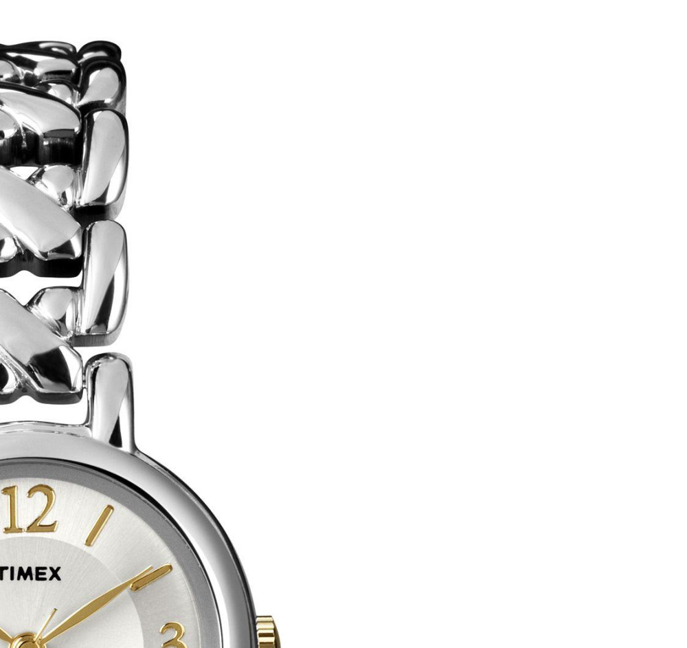 Timex Classic T2N823 5