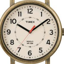 Timex Classic T2P220 2