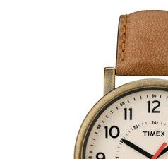Timex Classic T2P220 4