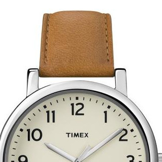 Timex Classic T2P223 3