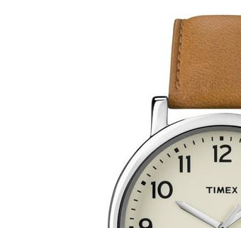 Timex Classic T2P223 4