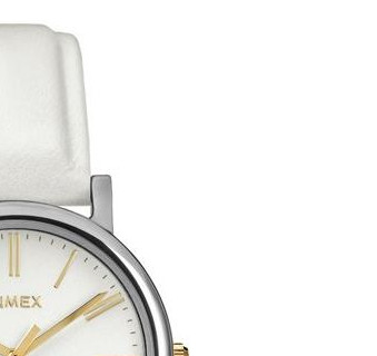 Timex Classic T2P327 5