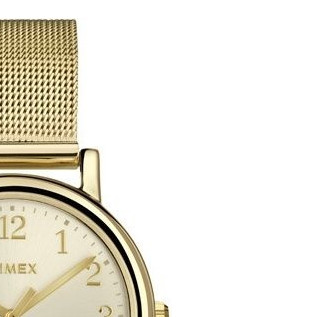 Timex Classic T2P462 5