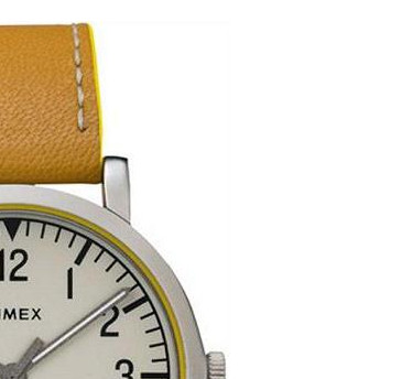 Timex Classic T2P505 5