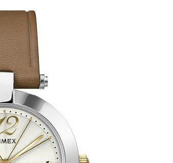 Timex Classic T2P543 5