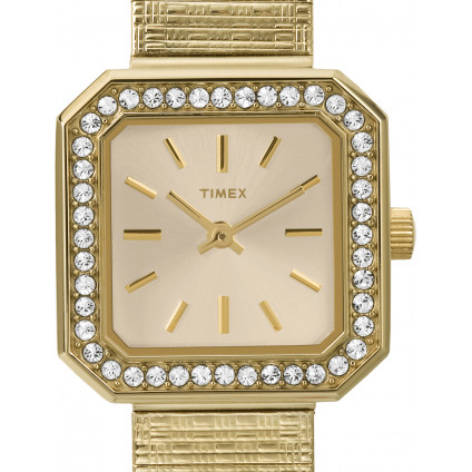 Timex Classic T2P550 2