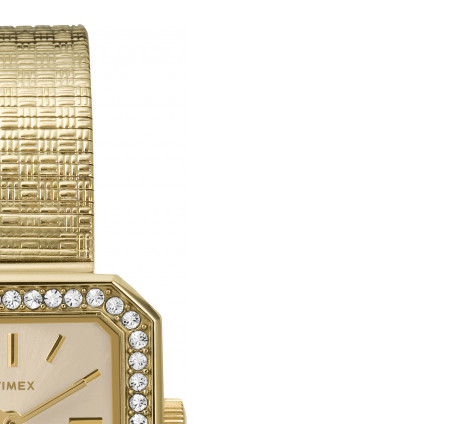 Timex Classic T2P550 5