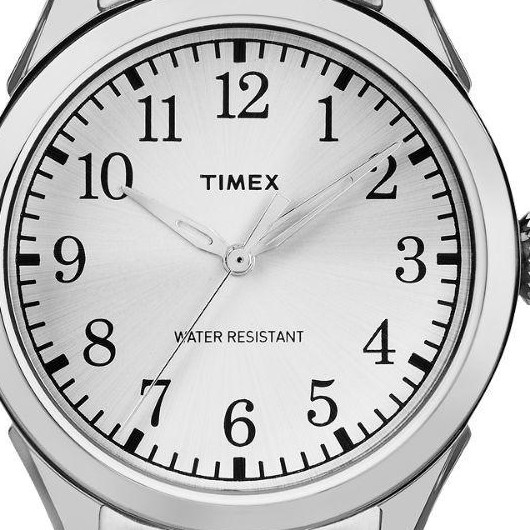 Timex Classic TW2P99800 2