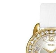 Timex Diamond T2N445 4