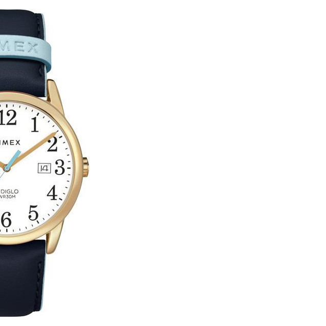 Timex Easy Reader TW2R62600 6