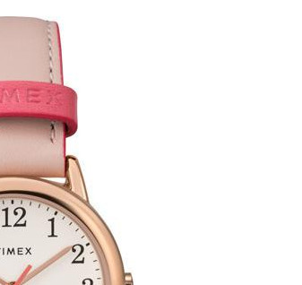 Timex Easy Reader TW2R62800 5