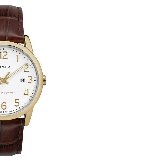 Timex Easy Reader TW2R65100 6