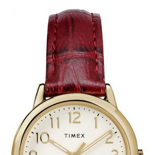 Timex Easy Reader TW2R65400 3