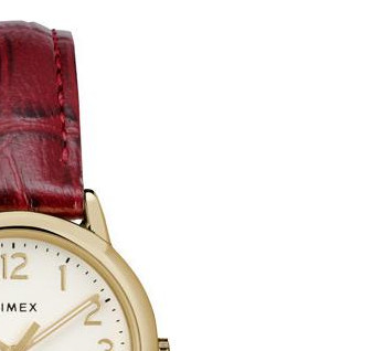 Timex Easy Reader TW2R65400 5