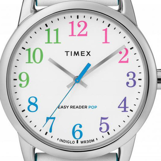 Timex Easy Reader TW2T28400 2