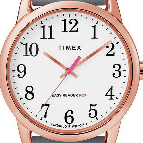Timex Easy Reader TW2T28500 2
