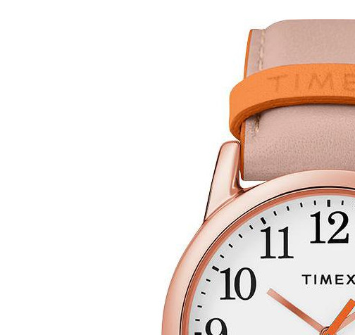 Timex Easy Reader TW2T28600 4