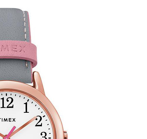 Timex Easy Reader TW2T28700 5