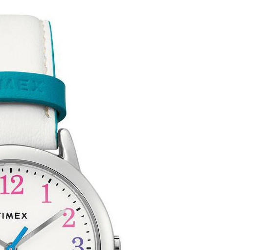 Timex Easy Reader TW2T28800 5