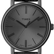 Timex Easy Rider T2N959 2