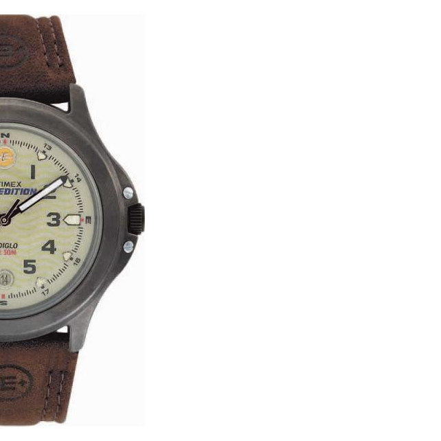 Timex Expedition Metal Field T47012 6
