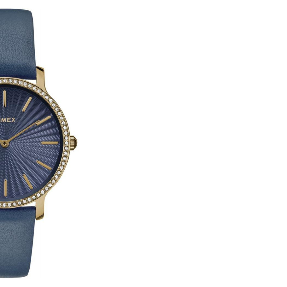 Timex Expedition TW2R51000 6