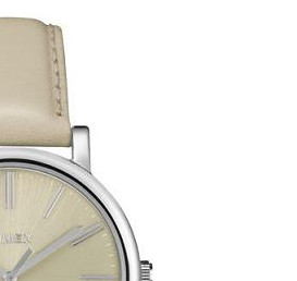 Timex MODERN ORIGINALS EASY READER T2P162 5