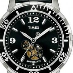 Timex Men's Automatics T2M509 2