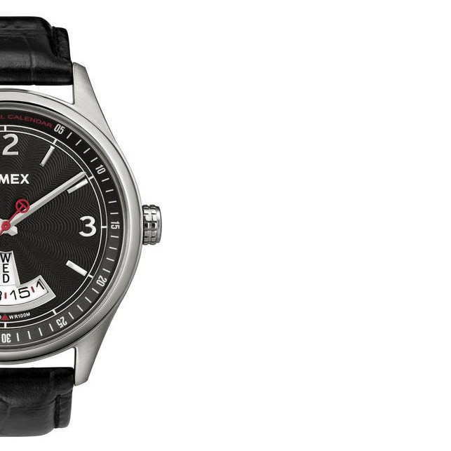 Timex Men's Perpetual Calendar T2N216 6