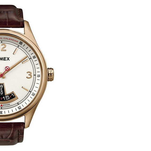 Timex Men's Perpetual Calendar T2N221 6