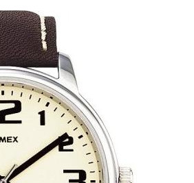 Timex Men's Style T28201 5