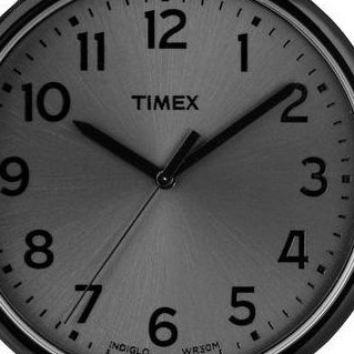 Timex Men's Style T2N346 2