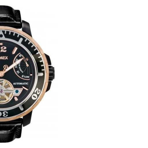 Timex Men's Timex SL Series Automatics T2M931 6