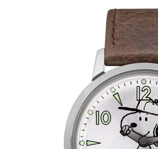 Timex Męskie TW2R94900 4