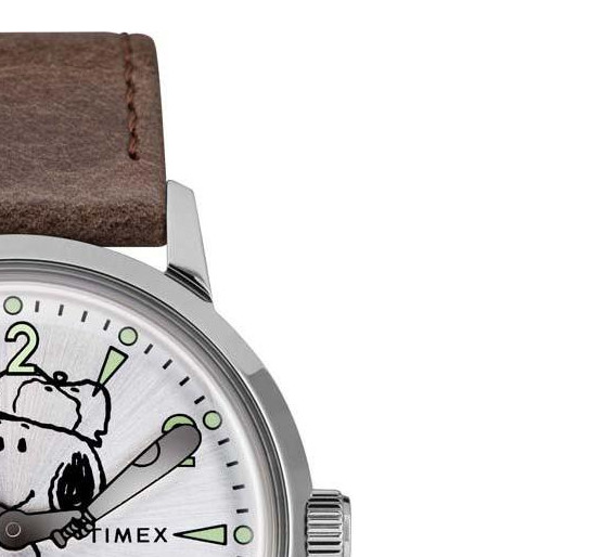 Timex Męskie TW2R94900 5