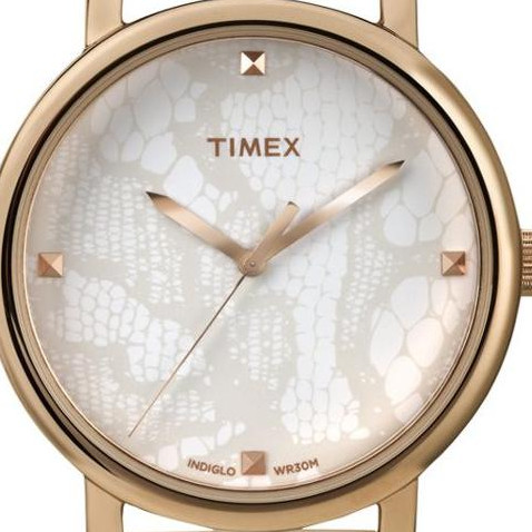 Timex Metropolitan T2P460 2