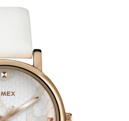 Timex Metropolitan T2P460 5