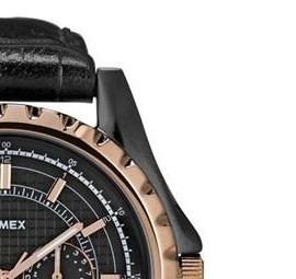 Timex Retrograde T2N113 5