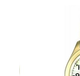 Timex Women's Timex T Series 3 Hand T2M448 4