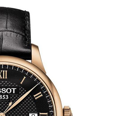 Tissot LE LOCLE T0064073605300 5