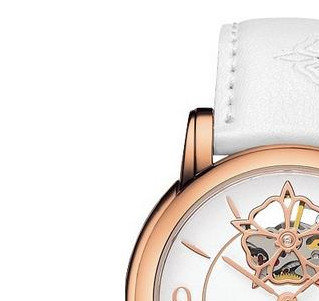 Tissot Lady Heart Powermatic 80 T0502073701704 4