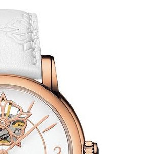 Tissot Lady Heart Powermatic 80 T0502073701704 5