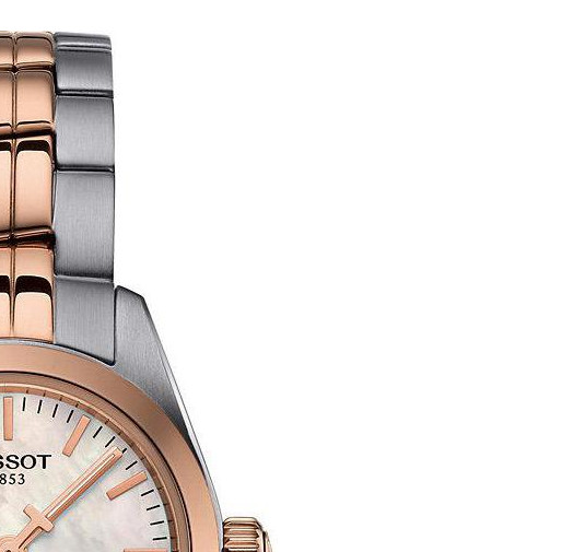 Tissot PR 100 T1010102211101 5