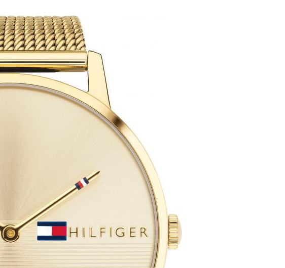 Tommy Hilfiger Alex 1781972 5