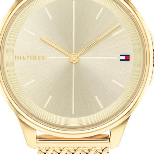 Tommy Hilfiger DELPHINE 1782358 - zegarek damski 2