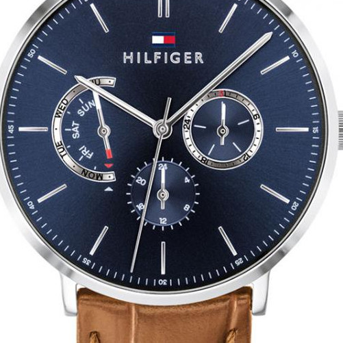 Tommy Hilfiger Dane 1710375 2